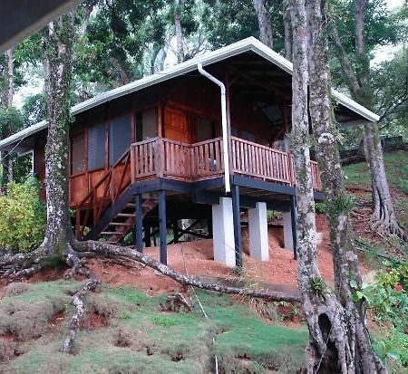 Cabinas La Parcela Villa Dominical Esterno foto